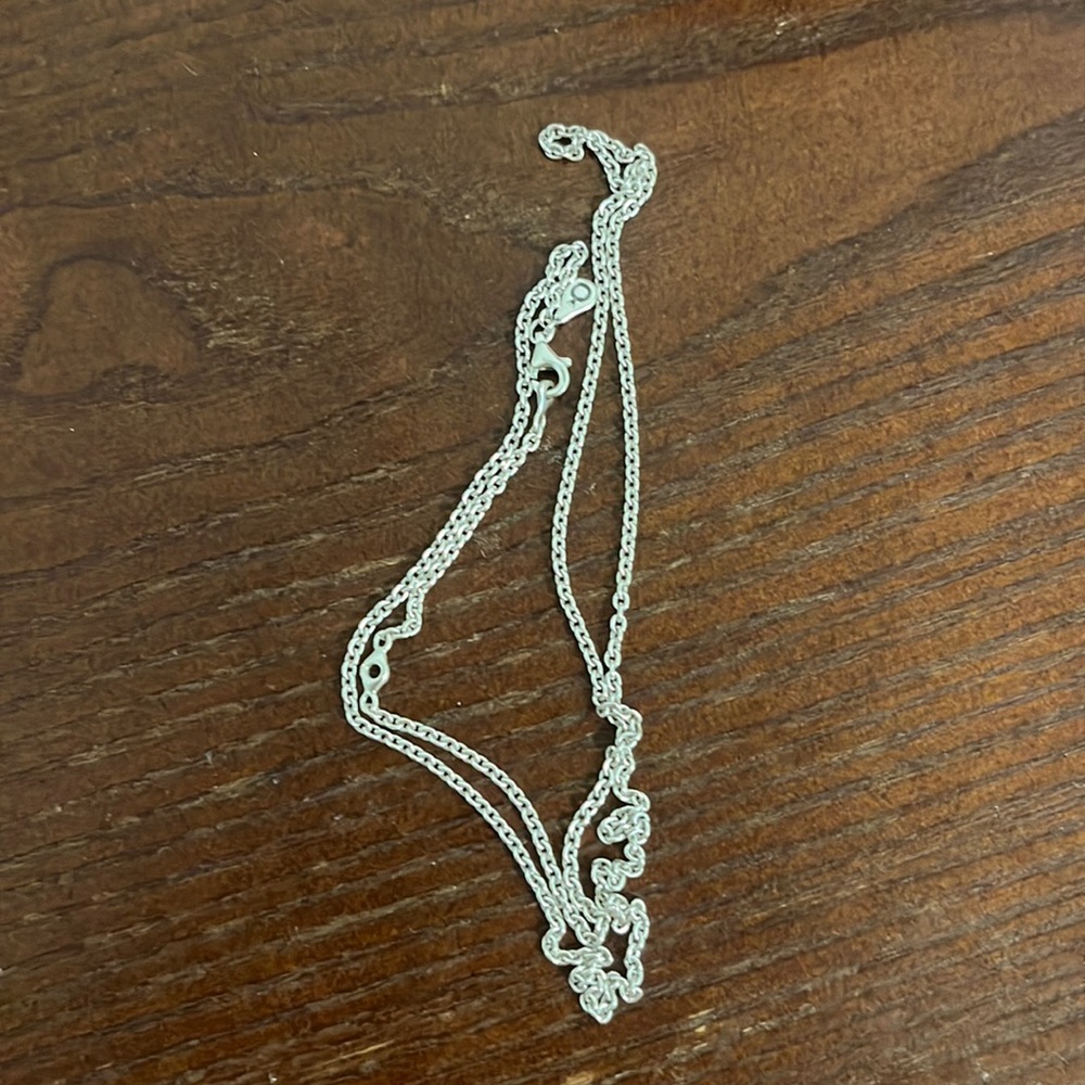 Pandora Long Chain Necklace